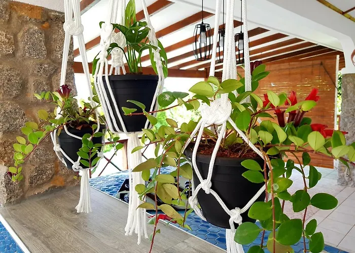 Rose Self Catering Beau Vallon (Mahe)